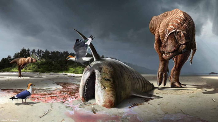 Trên một bãi biển ở Laramidia trong kỷ Phấn trắng (hiện là Utah, Mỹ), một cặp Lythronax argestes đang tiến đến thăm dò xác một con Squalicoraxshark bị mắc kẹt, khiến đôi chim bé nhỏ hoảng sợ.