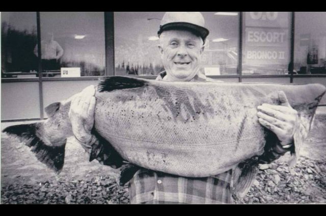 Les Anderson khiến cả thế giới kinh ngạc khi bắt được một con cá hồi nặng tới 36kg, dài 1,5m trên sông Alaska Kenai vào tháng 5/1985.