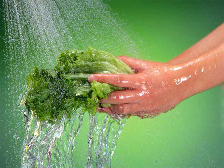 Vì thế khi mua rau về mẹ vẫn nên lưu ý khâu rửa rau thật sạch. Tốt nhất mẹ nên ngâm rau trong nước 20-30 phút cho hết hoàn toàn thuốc trừ sâu, rồi rửa lại bằng nước sạch 2-3 lần, kết thúc ngâm trong hỗn hợp nước muối nhạt từ 10-15 phút để rau được khử trùng hoàn toàn.