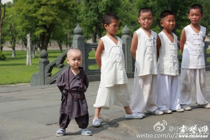 Cùng luyện võ với các "sư huynh".