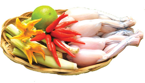 Cóc. Có chứa các độc tố như bufogin, bufidin, bufonin có nhiều trong gan, trứng, phủ tạng, trong nhựa cóc, các tuyến sau 2 mắt, lưng, bụng cóc. Đây cũng là những chất độc đối với sức khỏe của người đặc biệt là thai phụ càng không được ăn.