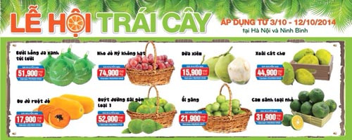 Ngoài ra, còn có chương trình "Lễ hội trái cây" tại hệ thống siêu thị Ninh Bình và Hà Nội.