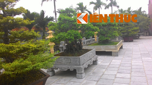 Khuôn viên của khu nhà được trang trí bằng các loại cây cảnh có giá trị tạo cho khu vườn thêm phong phú, sinh động.