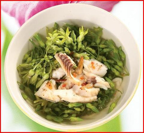 Hoa đủ đủ đực. Hoa đu đủ đực thường được bán kèm quả cà rừng để làm nộm. Món canh hoa đu đủ đực nấu với cá lóc cũng rất thú vị đấy.