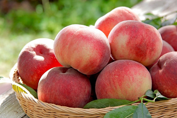 Đào cũng giúp trị nám da. Cũng như cà chua và một số loại trái cây khác, trái đào rất giàu vitamin A và C, là phương thuốc hữu hiệu dành cho da khô nám. Lấy một trái đào gọt sạch bỏ vỏ, xay nhuyễn trộn cùng một muỗng yahhourt. Rửa sạch mặt sau đó đắp hỗn hợp này lên da khi da còn ẩm trong 20 phút, rồi rửa lại bằng nước mát.