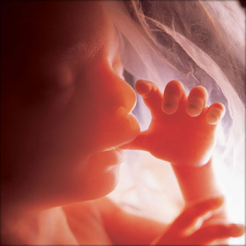 Không những bé đã biết biểu lộ cảm xúc thông qua những cú đá, cú máy hay uốn người, không lâu nữa bé sẽ có thể nghe thấy những âm thanh ồn ào từ phía bên ngoài cũng như nhận ra giọng nói của mẹ. Nguyên nhân là do tai của thai nhi đã phát triển ổn định và bắt đầu có thể nghe thấy những âm thanh xung quanh.