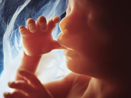 Thai nhi tuần thứ 27: biết mút ngón tay. Thai nhi 27 tuần tuổi có chiều dài tính từ đầu đến mông khoảng 22 - 24 cm (từ đầu đến chân đạt 32 - 34 cm), cân nặng khoảng 900g - 1000g. Từ tuần thai này, em bé sẽ tăng trưởng về cân nặng rất nhanh chóng. Từ những tuần thai này, em bé của bạn đã có thể nhắm mắt, mở mắt bình thường, đều đặn khi ngủ hay khi thức, thậm chí cả việc mút ngón tay.