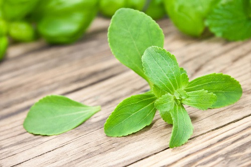 Trà cỏ ngọt. Cỏ ngọt được biết đến với tác dụng điều vị, điều hòa đường huyết, lợi tiểu, chống béo phì và giảm cân rất tốt. Trong cỏ ngọt có chứa chất steviol ngọt gấp 300 lần đường saccaroza, ít năng lượng, không lên men, không bị phân hủy, lại có hương vị thơm ngon nên có thể dùng để thay thế đường trong chế độ ăn kiêng của bạn.