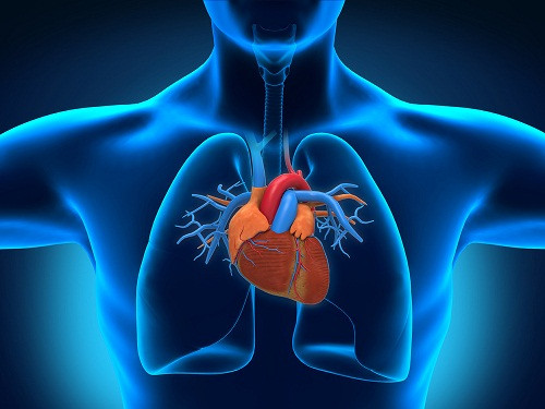 Những gì chúng ta biết về phổi hiện nay đã được nói lần đầu tiên vào thế kỷ 13 bởi một nhà Vật lý người Ả Rập. Những nhận định đầu tiên về sự hoạt động của phổi đã là tiền đề cho những nghiên cứu sau này.