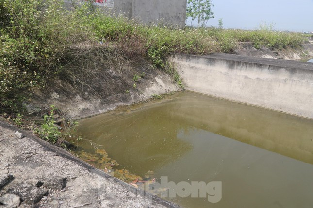 Nước trong hồ bị ô nhiễm