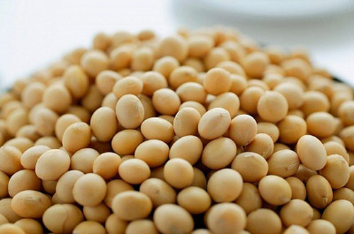 Đậu nành. Dùng 150g đậu nành, 1 lít nước, đun với lửa nhỏ trong 20 phút, để nước đủ ấm dùng ngâm chân. Cách này trị mùi hôi chân rất hiệu quả, lại giúp bảo vệ da chân. Thông thường ngâm rửa liên tục 3-4 ngày sẽ thấy công hiệu.