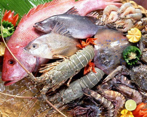 Lưu ý khi cho trẻ ăn hải sản. Không ít trường hợp bé bị dị ứng với đồ hải sản, vì thế, mẹ nên cẩn thận khi cho bé ăn. Đặc biệt, nên tránh những loại chứa hàm lượng thủy ngân cao như cá mập. cá kình, cá kiếm, cá ngừ, cá thu lớn.