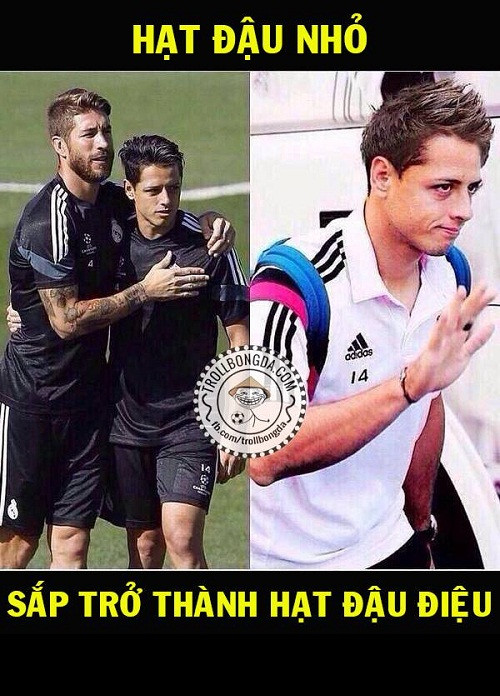 Chắc hẳn lúc này các CĐV của MU rất nhớ Chicharito, người đã được chính MU cho Real Madrid mượn mùa hè vừa qua. Sang Real Madrid, một CLB sành điệu thì "hạt đậu nhỏ" đã trở thành "hạt đậu điệu". Ảnh: Trollbongda.