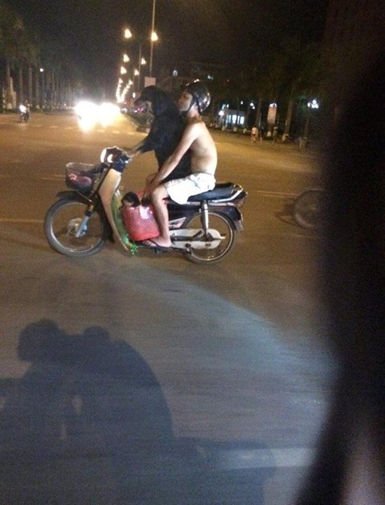 Chàng trai quá dũng cảm hay "dị" khi để thú cưng của mình lái xe?
