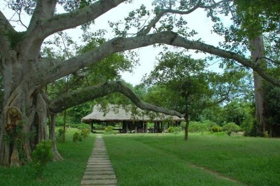 Đến với Định Hóa, các phượt thủ sẽ được tham quan các di tích như Định Biên, Cây đa Tân Trào hay đình Hồng Thái đều là những di tích lịch sử đã ghi dấu ấn trong cuộc kháng chiến trường kì chống Pháp của quân dân ta.