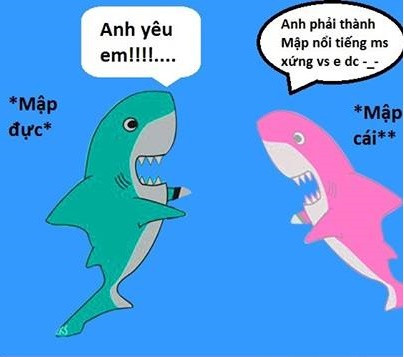 "Nổi tiếng" sau vụ cắn cáp quang biển.