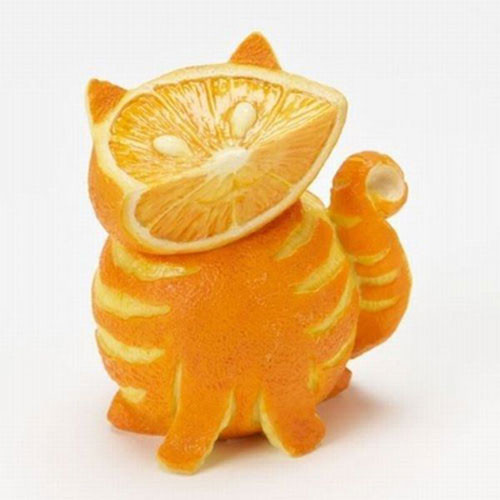 Mèo từ cam.