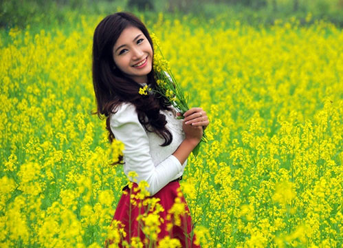 Giống như cải trắng ở Mộc Châu, cải vàng ở Hà Nội chỉ nở trong vòng khoảng 20 ngày. Chính vì vậy, nếu bạn nào chưa có những bức ảnh với loài hoa đơn sơ này thì nhanh chóng sắp xếp thời gian để lưu lại hình ảnh với loài hoa này.