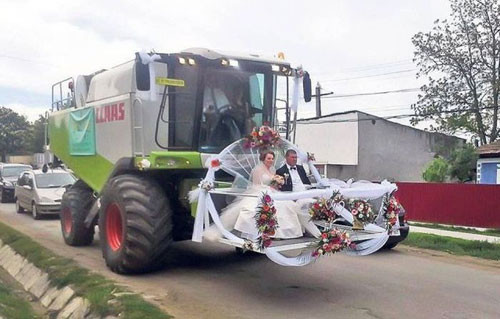 Xe hoa độc đáo.