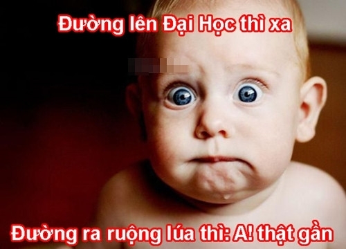Lời than vãn tếu táo của một sĩ tử không làm được bài thi, bi quan về tương lai của mình.