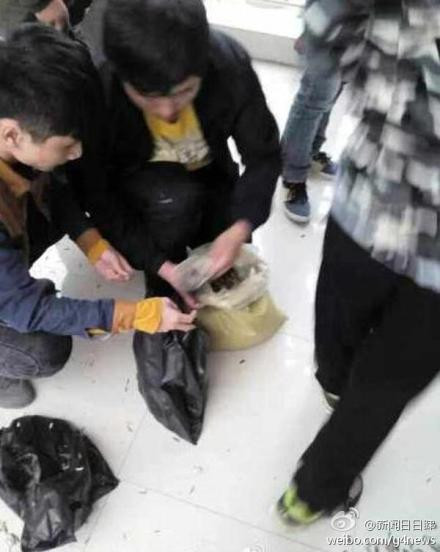 Hình phạt lạ lùng này đã khiến học sinh thích thú chụp ảnh lại và đăng tải lên mạng xã hội. Rất nhanh chóng, những hình ảnh này đã trở thành tâm điểm của sự chú ý và bàn tán.
