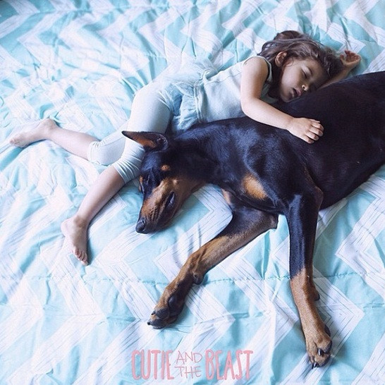 Cô bé cũng thường xuyên ăn, ngủ cùng chú chó thân thiết của mình. Bộ ảnh Cutie and the Beast của Siena và bạn thân Buddha đã được đông đảo cộng đồng mạng biết đến và truyền tay nhau nhanh chóng.