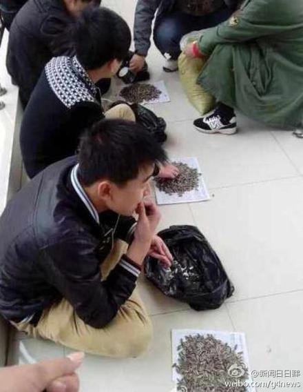 Rất khó chịu với hành động coi thường giáo viên và không chịu tiếp thu kiến thức này, vị thầy giáo đã nghĩ ra một phương pháp trừng phạt mới "lấy độc trị độc".