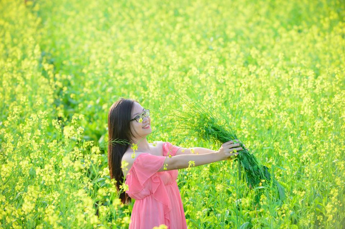 Được biết hoa cải vàng là thứ hoa nở vào dịp đông, khi tiết trời se se lạnh và xào xạc dưới nắng vàng.