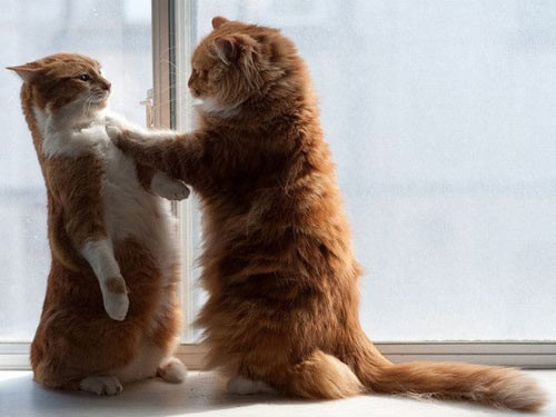 Cậu mà còn làm khổ cô ấy thì đừng có trách.