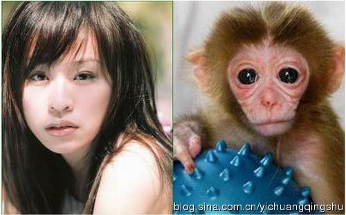 Vương Tâm Lăng lại ngây thơ như chú khỉ con.