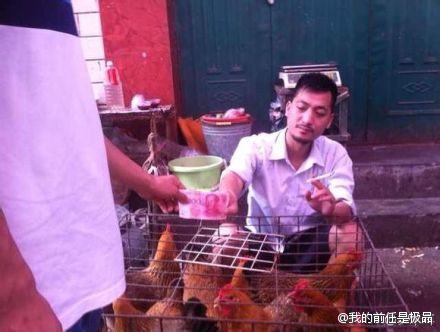 Bán gia cầm...