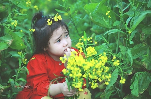 Một bé ngây thơ theo bố mẹ đi chụp cải vàng. Ảnh: Quân photo.
