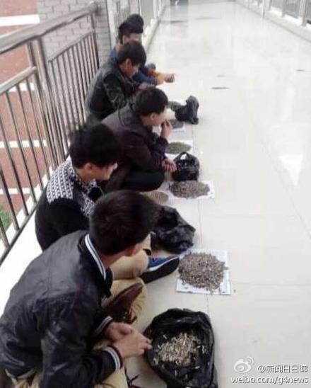 Câu chuyện hy hữu này xảy ra ở một trường dạy nghề tại Hồ Nam, Trung Quốc. Trong giờ giảng bài của mình, một thầy giáo đã phát hiện các sinh viên không chỉ không chăm chú lắng nghe bài giảng mà còn thản nhiên ăn quà vặt ngay trong tiết học.