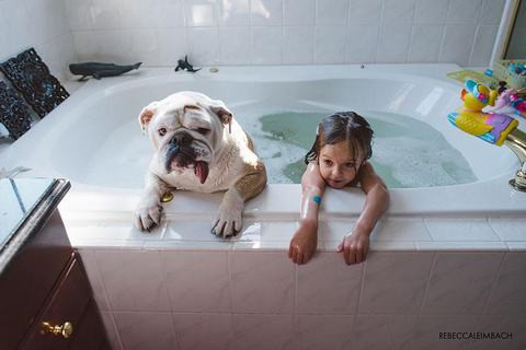 Những bức ảnh này được chụp lại bởi nhiếp ảnh gia chân dung chuyên nghiệp Rebecca Leimbach, đồng thời cũng chính là mẹ của cô bé Harper.