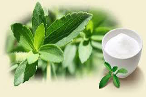 2. Đường Stevia. Có nguồn gốc từ Nam Mỹ và đã được sử dụng qua hàng trăm năm như một chất ngọt nhân tạo lành mạnh. Nó không gồm calo và không có các chất phụ gia tạo ngọt.