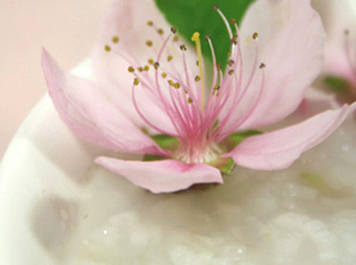 Cháo hoa đào. Ninh cháo chờ đến khi gần chín thêm vào hoa đào. Dùng món cháo này thường xuyên để điều trị tình trạng bạn gái sắc mặt đen sạm, làn da khô ráp không sáng do can khí bất sơ và khí huyết không thông thoáng.