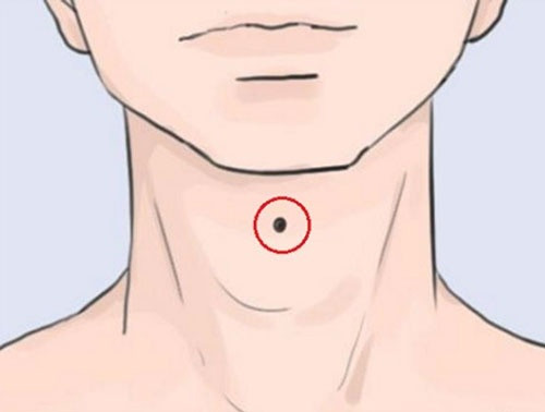 Cổ họng. Yết hầu có nốt ruồi, trong tướng số thì đây là một đặc điểm không tốt, thường dễ gặp chuyện bất lợi, cần chú ý nhiều đến an toàn của bản thân.