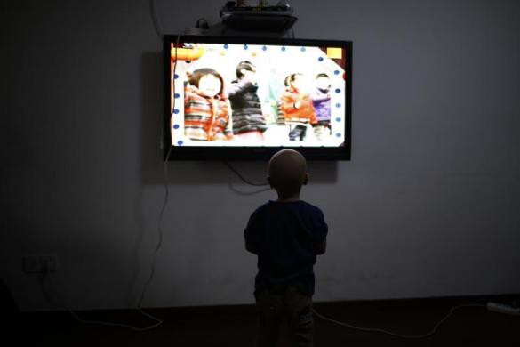 Niuniu say mê xem chương trình truyền hình dành cho trẻ em.