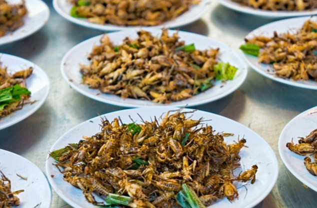 WHO cũng cho rằng côn trùng là thực phẩm giàu protein tuyệt vời cho cơ thể người khi mà dân số ngày càng tăng, lượng thịt tiêu thụ có thể thiếu trong tương lai.