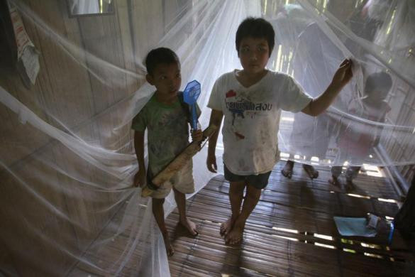 Hai bé trai sống ở gần biên giới Thái Lan – Myanmar đang đứng trong một chiếc màn chống muỗi.