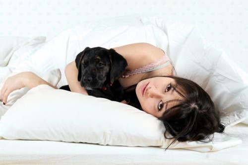 10.Đừng ôm thú cưng. Theo một nghiên cứu cho biết hơn một nửa số bệnh nhân mất ngủ cần tìm kiếm tư vấn đều là chủ sở hữu vật nuôi và họ phàn nàn về vấn đề rối loạn giấc ngủ hàng đêm là do thú cưng gây ra.