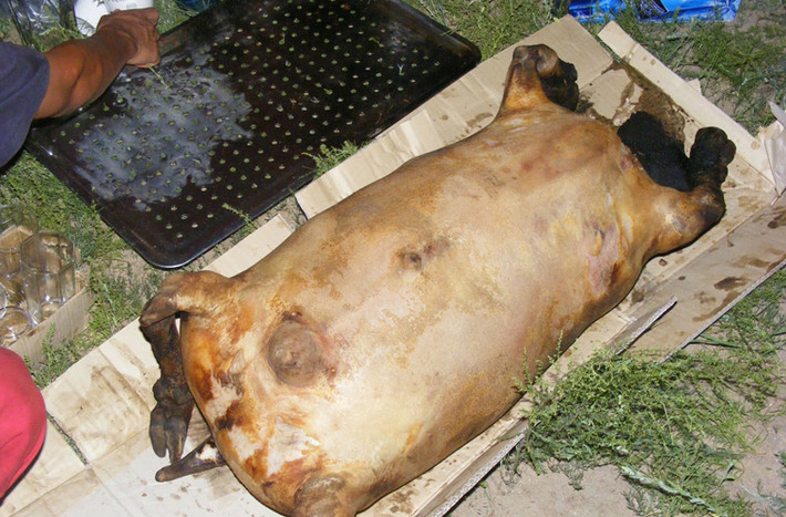 Nguyên liệu chính của Boodog là những con bò hoặc cừu nuôi được trong trang trại. Điều đặc biệt là người ta không làm thịt bò, cừu bằng cách cắt tiết rồi mổ nội tạng.