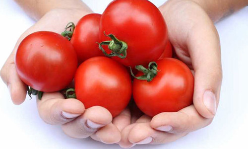 8. Chống đột quỵ. Nếu bạn dùng cà chua cho thêm ít muối và ăn hàng ngày sẽ rất tốt cho việc điều trị các căn bệnh về đột quỵ.