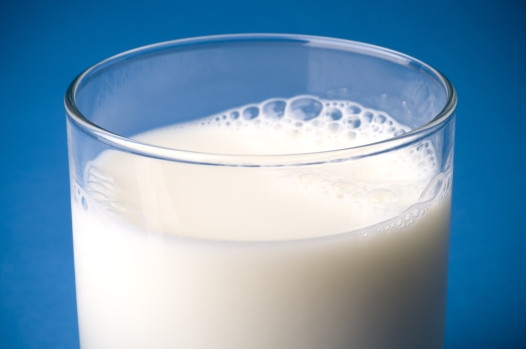 Sữa tươi chưa tiệt trùng hay còn gọi là sữa nguyên liệu (raw milk) là loại sữa chưa được tiệt trùng từ những động vật họ móng có vú như bò, cừu hoặc dê. FDA cho biết sữa nguyên liệu chưa tiệt trùng có thể chứa rất nhiều mầm bệnh khác nhau, bao gồm các vi khuẩn Salmonella, E. coli, Listeria, Campylobacter và Brucella, chúng là nguyên nhân gây bệnh thậm chí có thể gây chết người. Những triệu chứng bệnh gây ra bởi những loại vi khuẩn khác nhau thường có ở trong sữa nguyên liệu chưa tiệt trùng bao gồm nôn mửa, tiêu chảy, đau bụng, sốt, đau đầu và đau nhức toàn thân.