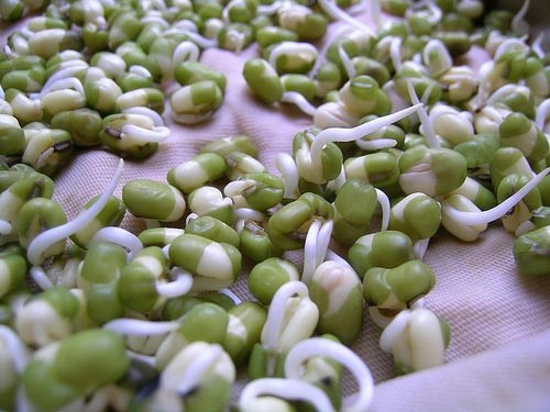 Canh giá đỗ xanh: giá đỗ xanh 200g, thịt lợn nạc 100g, dầu thực vật, mắm muối vừa đủ. Thịt lợn nạc rửa sạch băm nhỏ ướp mắm muối, xào chín bằng dầu thực vật. Giá đỗ xanh rửa sạch, khi thịt xào chín, cho giá đỗ xanh vào đảo đều cho chín tái là được. Ăn ngày 2 lần trong bữa cơm, cần ăn liền 5 - 7 ngày.