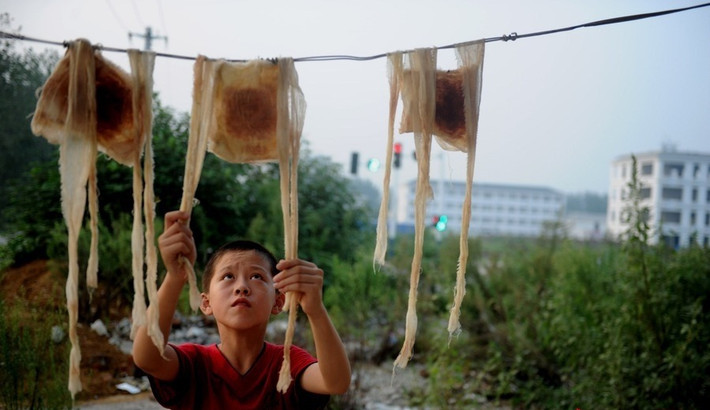 Chí Hoa phơi bông băng y tế trước nhà.
