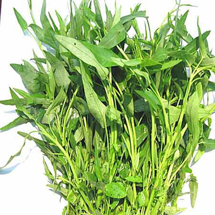 Trái lại, thu hoạch rau quá già sẽ khiến chúng có nhiều chất xơ khiến món ăn trở nên cứng và hao tổn chất lượng rau.
