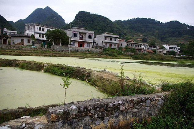Nguồn nước, đất đai ở trong làng bị nhiễm chì và kẽm nặng, bởi trước đây, ở chỗ này có rất nhiều mỏ khoáng sản.