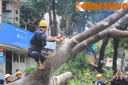 Sau khi sự việc xảy ra, lực lượng công an phường 12 và phường 13 của quận 10 đã có mặt để phong tỏa khu vực này. Nhân viên của Công ty TNHH MTV Công viên cây xanh TP.HCM cũng đã có mặt để giải quyết gốc cây cổ thụ bị đổ ngã, dọn dẹp hiện trường để trả lại sự thông thoáng cho tuyến đường Hưng Hòa. Đến hơn 16h cùng ngày, hiện trường đã được giải tỏa.