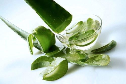 Lô hội. Trong lô hội có tinh chất giúp chống sẹo và giảm bớt các vụng sạm thâm trên da. Hiện rất nhiều loại kem phòng chống rạn có chiết xuất từ lô hội được bán trên thị trường. Các mẹ có thể tự chế loại kem này bằng cách trộn dịch lô hội và dầu oliu, sau đó mát xa nhẹ nhàng mỗi ngày để khắc phục vùng da xấu xí.